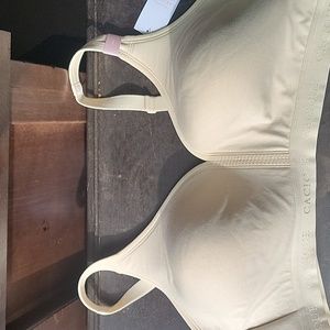 NWT Cacique Bra
